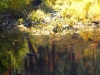 river-3