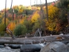 river-6