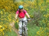 bike-2