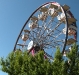 fair-16