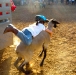 fair-21