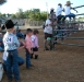 fair-22