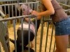 fair-9