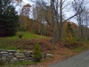 leaf-20