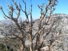 hike-4