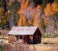 fall-8