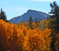 fall-9