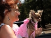 jaycee-lee-dugard-parade-spet-6-2009-7