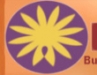 kizbanner