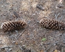 hike-3