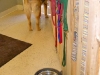 dogs-3