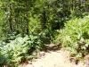 hike-1