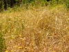 hike-11