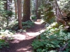 hike-2