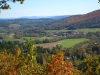 woodstock-11