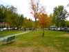 woodstock-4