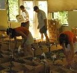 farm-2