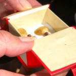 Clam shells are being made into earrings. Photo/Kathryn Reed