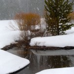 Upper Truckee River in the state park.