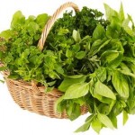 herbs