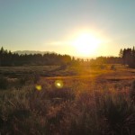 Rabe Meadow is part of the long-term restoration plans.