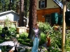 garden-6