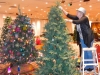 tree-3