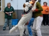 dog-2