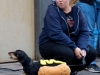 dog-5