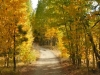 fall-10