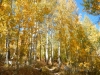 fall-12
