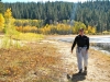 fall-2