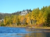 fall-5