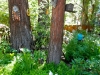garden-4