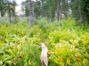 hike-4