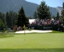 golf-6