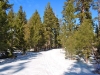 ski-2