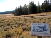 bike-2