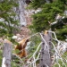 falls-1