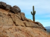 camelback-1