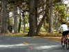 carmel-2