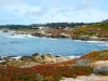 carmel-3