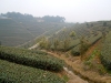 china-9