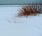 cove-east-3