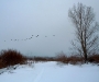cove-east-4