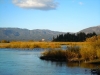 cove-2