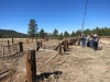 Our group of hikers stops for a little history lesson at the site of some old sheep pens in the Summit Valley.