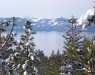 snow-8