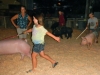 fair-3
