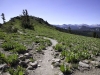 hike-5